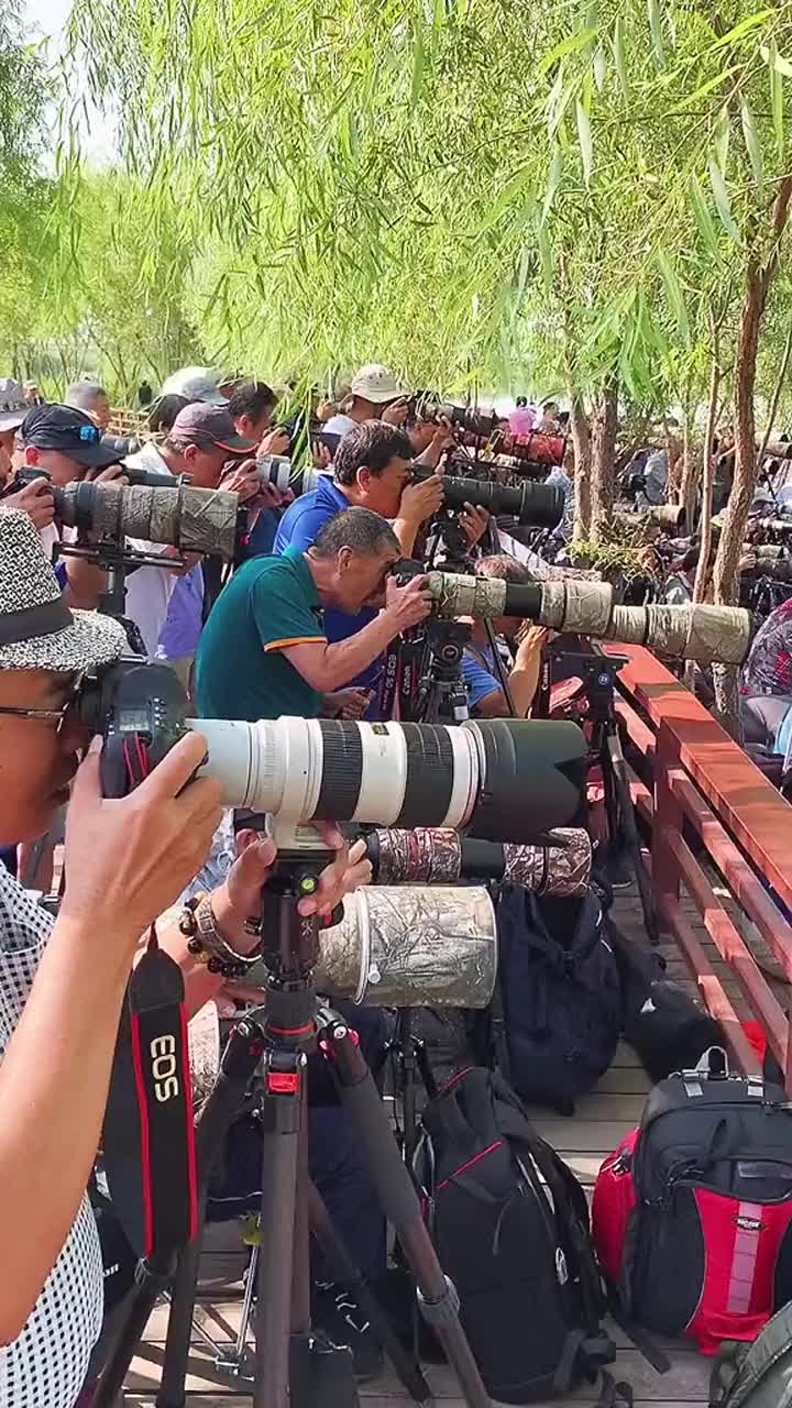 [图]东方900多年的非遗，历经一代代人传承不断的创新研究，釉面越来越绚丽多彩实在太美了，华夏文明技艺精湛复杂