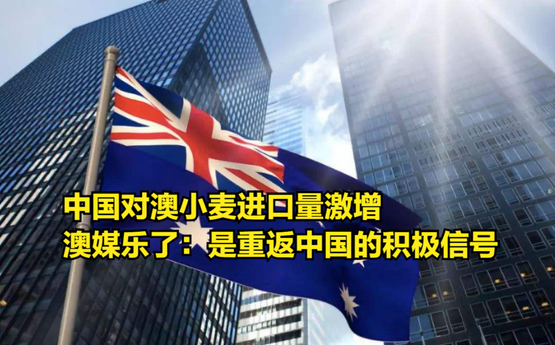 中国对澳小麦进口量激增,澳媒乐了:这是重返中国市场的积极信号哔哩哔哩bilibili