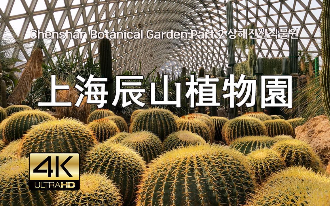 [图]上海辰山植物園散步 Street Walk Shanghai Chenshan Botanical Garden Part 2, 4K