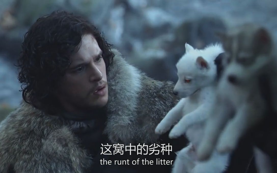 [双语字幕]琼恩雪诺剪辑 Jon Snow  The Targaryen Wolf哔哩哔哩bilibili