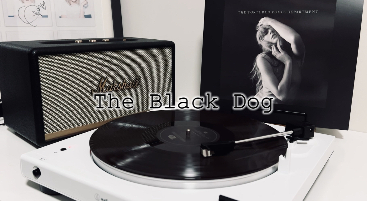 黑胶试听 | The Black Dog  Taylor Swift 新专辑 苦难诗社TTPD 加曲 黑狗哔哩哔哩bilibili