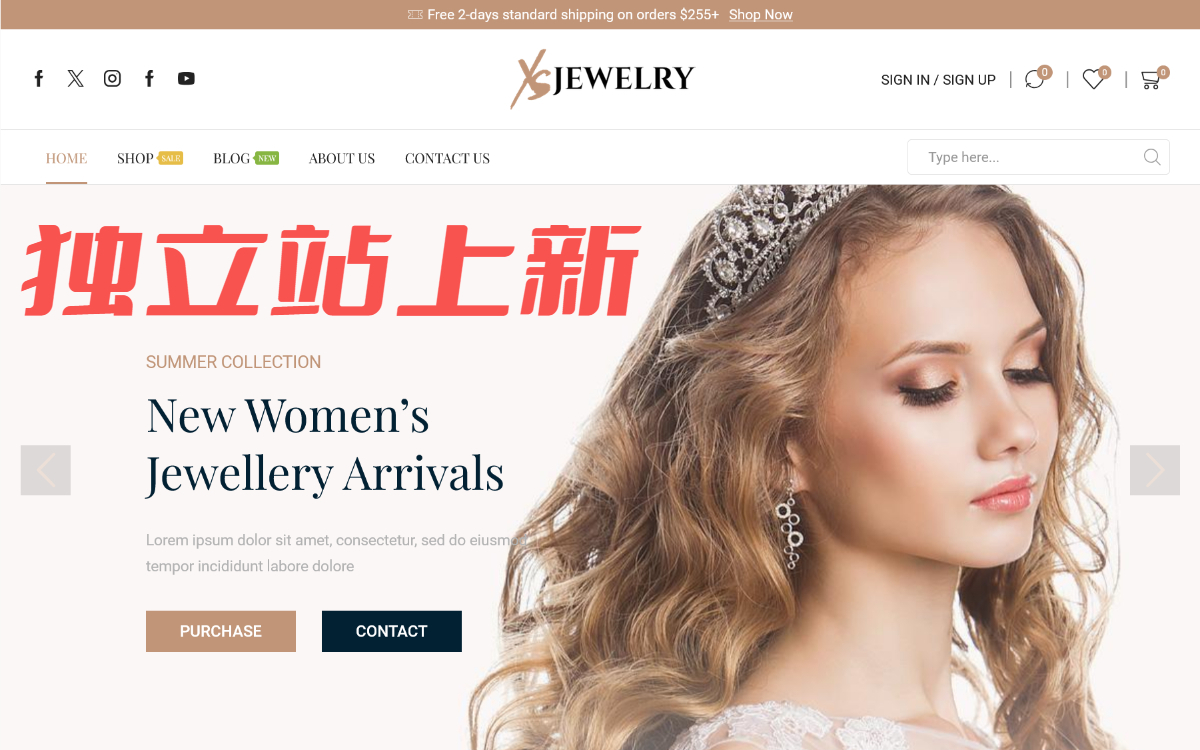 外贸、跨境独立站如何制作?XS Jewelry主题独立站 | 独立站上新哔哩哔哩bilibili