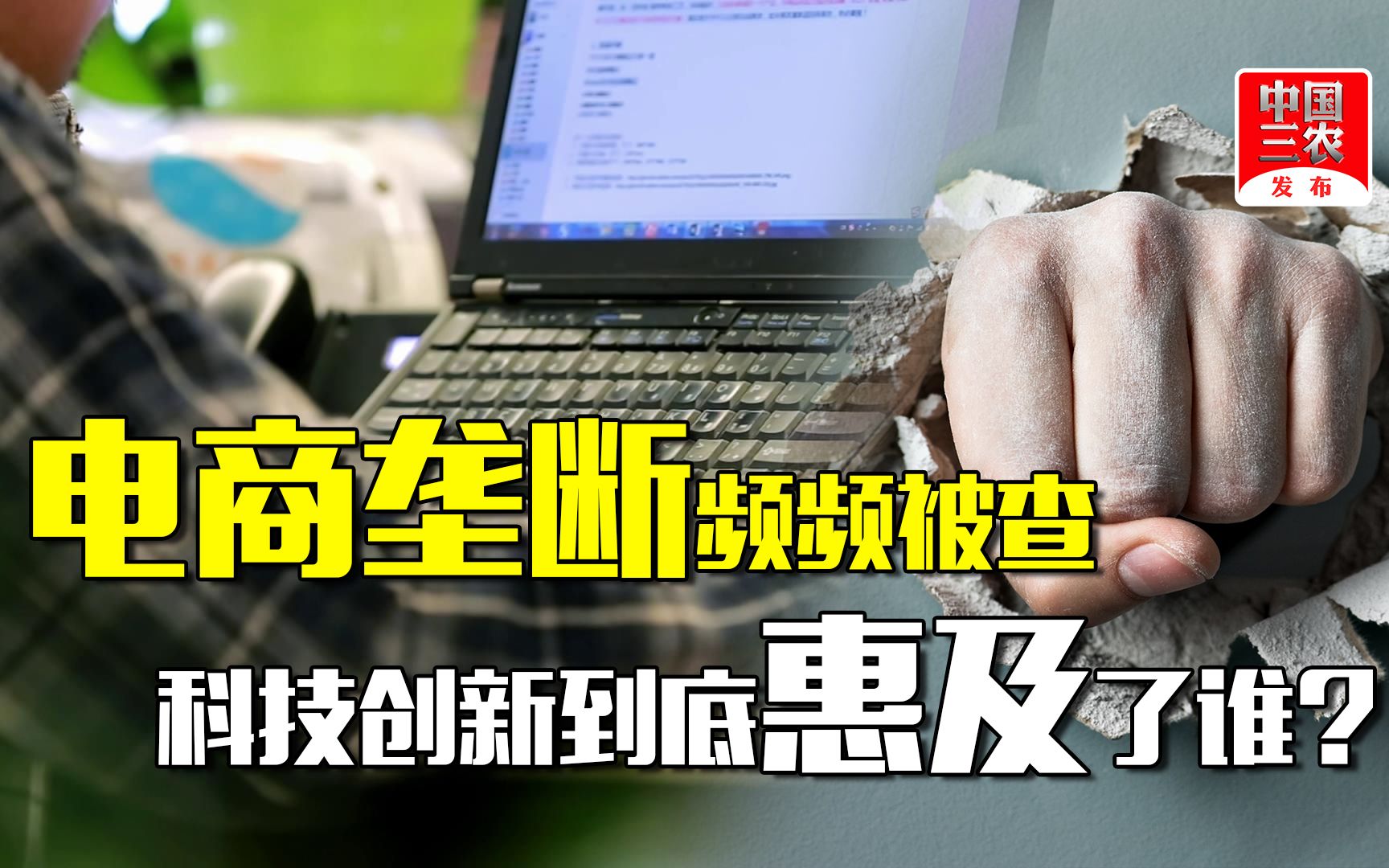 三农锐评:电商垄断频频被查,科技创新到底惠及了谁?哔哩哔哩bilibili