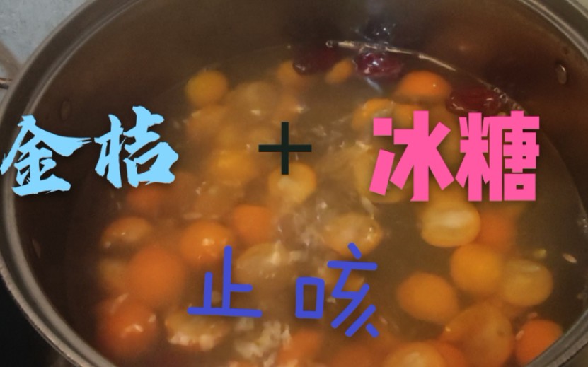 天气越来越冷,摘点金桔熬水喝,止咳效果杠杠的哔哩哔哩bilibili