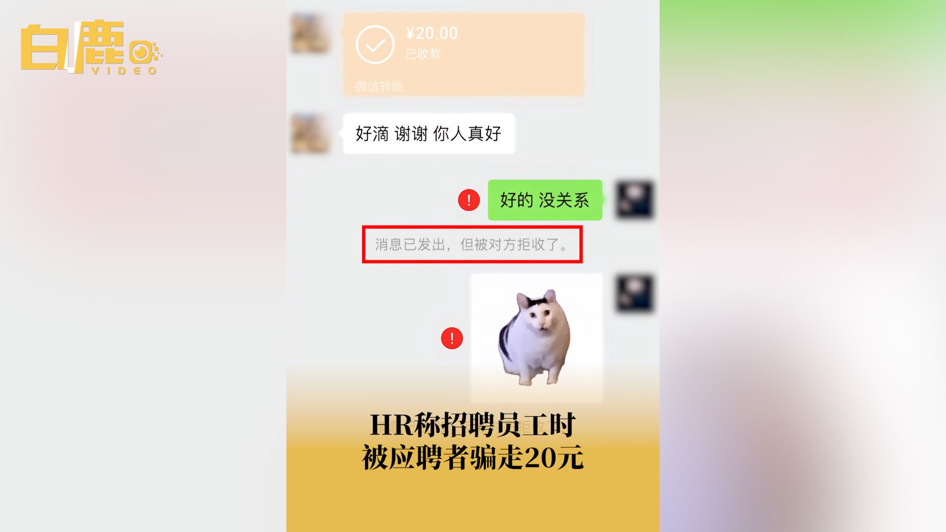 HR称招聘时被求职者骗走20元哔哩哔哩bilibili