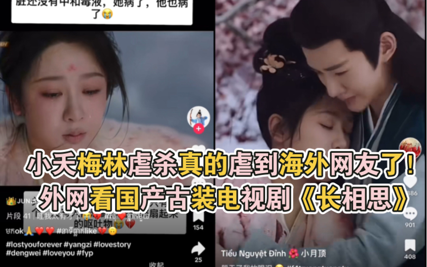 【TikTok】最新片段小夭梅林虐杀让海外网友伤心不已!外网看国产古装电视剧《长相思》在国外国际版抖音的热度哔哩哔哩bilibili