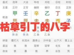 下载视频: 枯草引丁的八字！