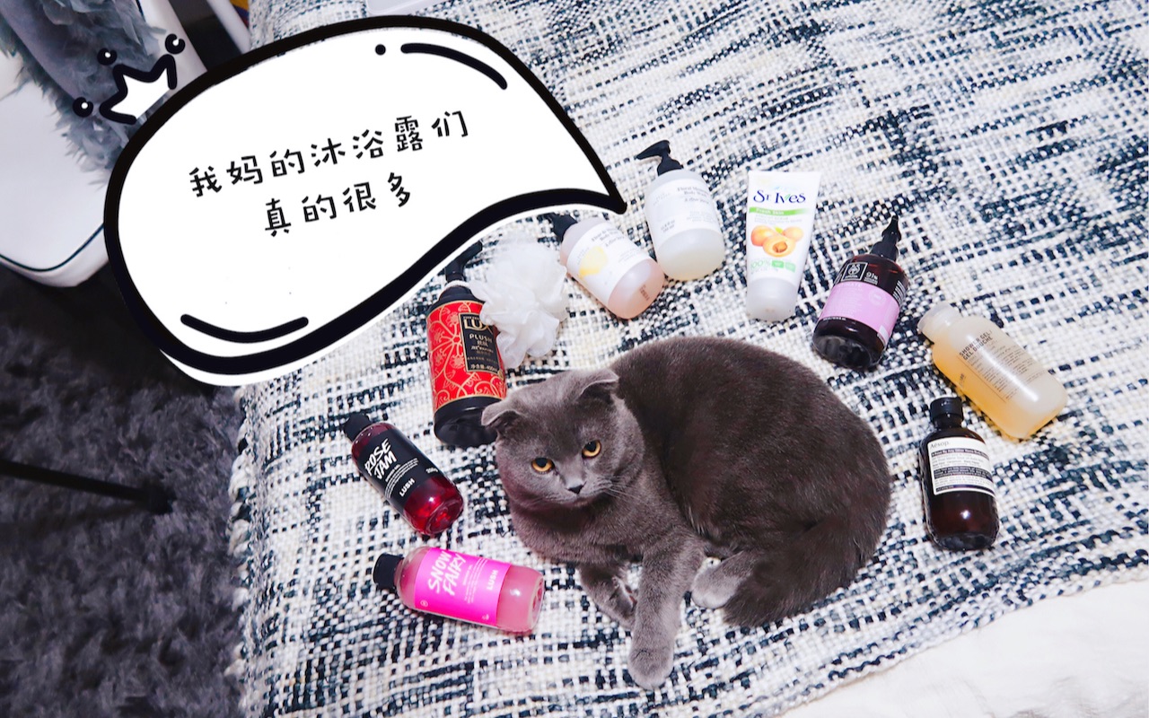 爱用的沐浴产品分享 沐浴露 磨砂膏 私处洗液 Aesop LUSH other stories Apivita哔哩哔哩bilibili