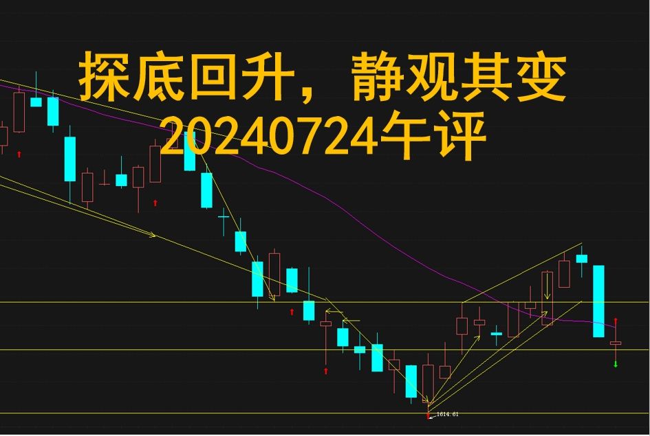 探底回升,静观其变:20240724午评哔哩哔哩bilibili