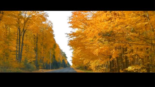 经典轻音乐《autumn colors》舒缓安逸,沁人心脾,让人内心平静