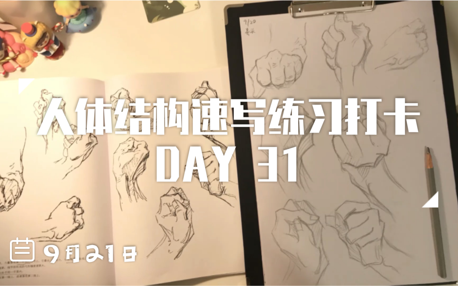 速写伯里曼人体结构速写练习打卡day31拳头