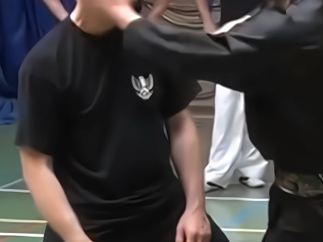 格斗#马伽术#防身术