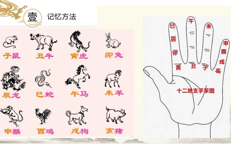 暖阳说《易冒》2天干地支和六十甲子哔哩哔哩bilibili