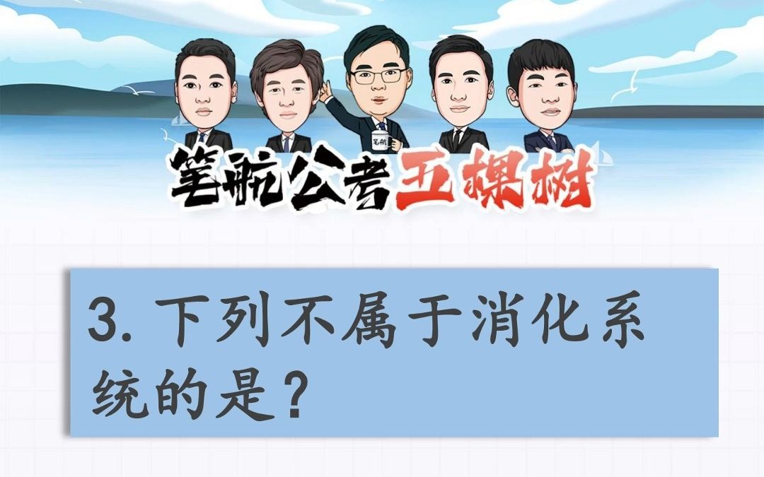 下列不属于消化系统的是?哔哩哔哩bilibili