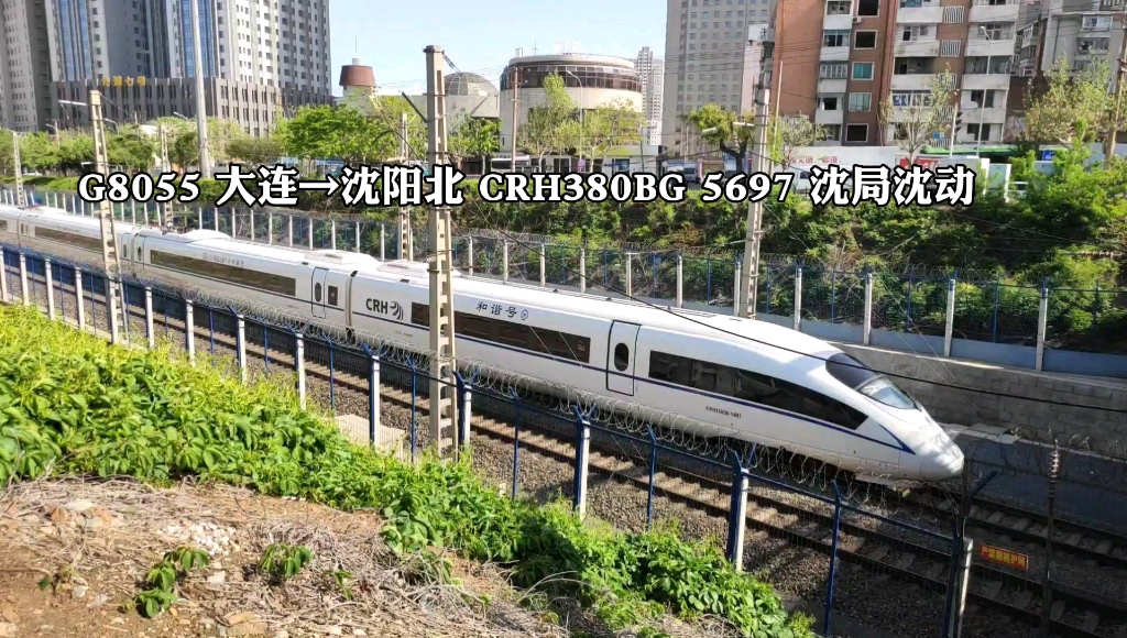 活动  g8055 大连→沈阳北 crh380bg 5697 沈局沈动