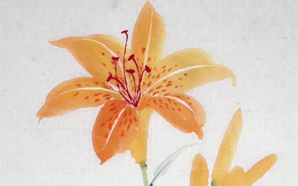 国画|萱草花(绘画过程)