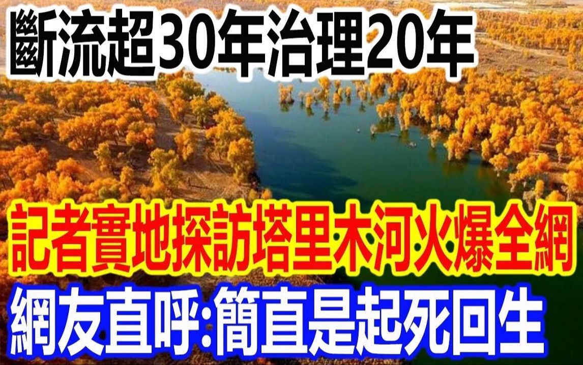 断流超30年治理20年,记者实地探访塔里木河现况火爆全网,网友直呼:这简直是起死回生哔哩哔哩bilibili