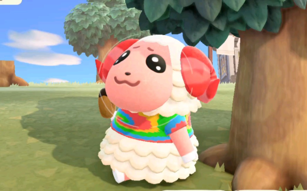 每日观察茶茶丸(1/1)