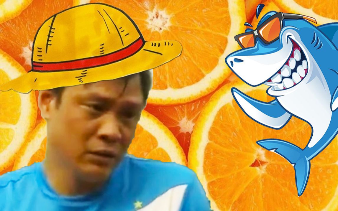 活动作品范志毅与海