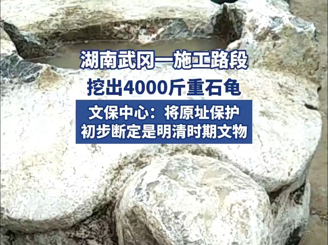 施工时挖出4000斤大石龟,湖南文保部门回应:将原址保护哔哩哔哩bilibili