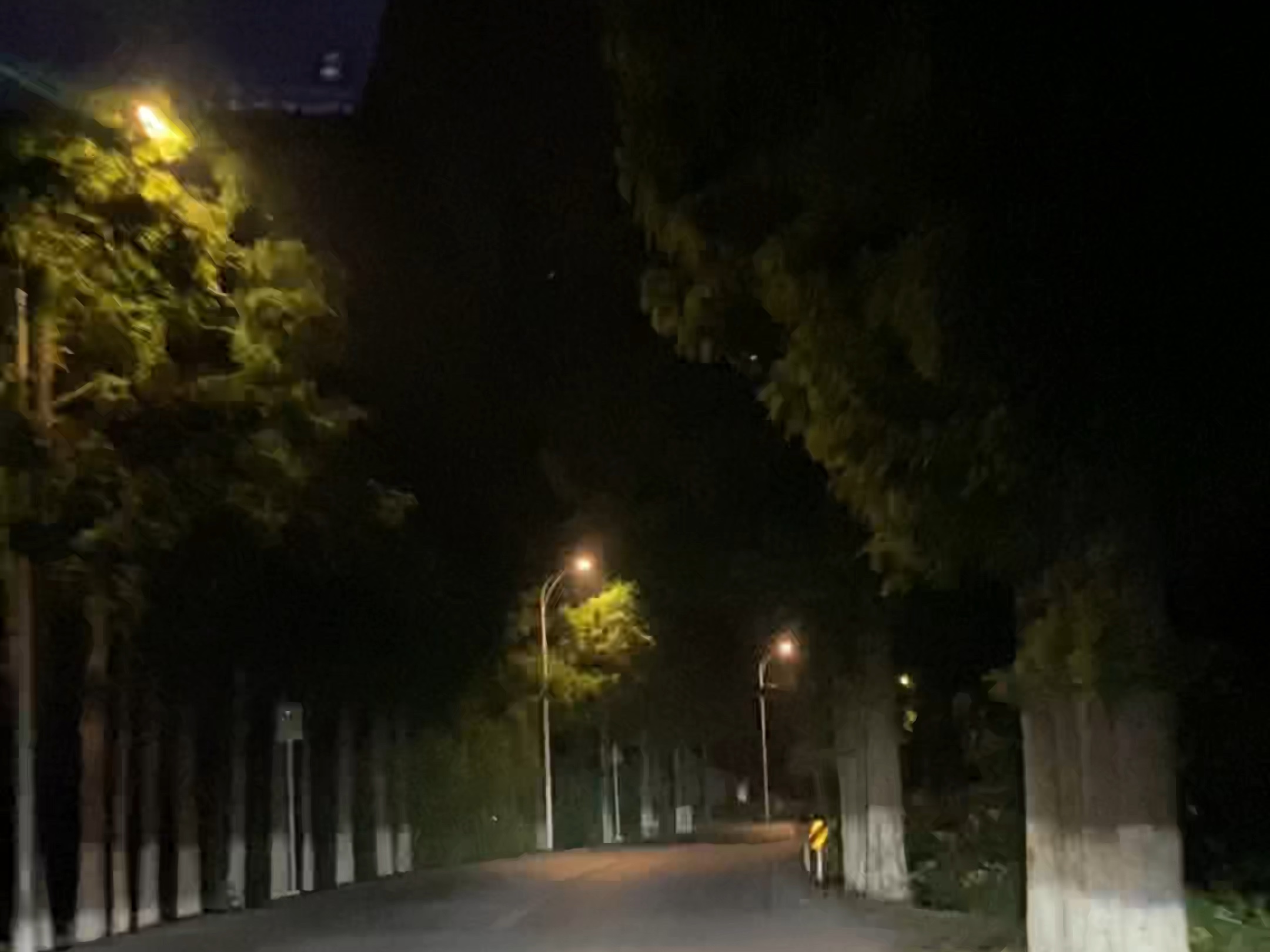 夜晚乡间小路图片大全图片