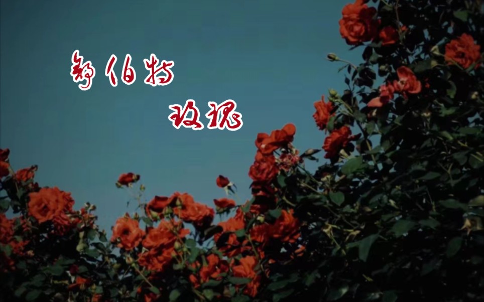 【歌切】舒伯特玫瑰