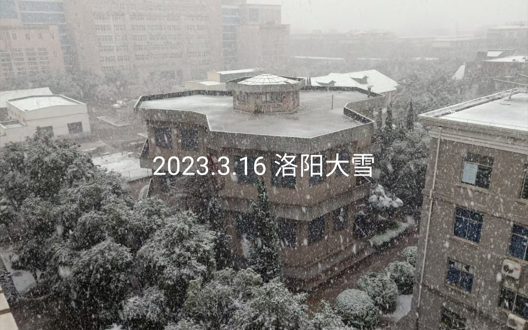 [图]2023.3.16 洛阳下大雪