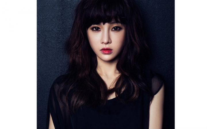 t-ara 全宝蓝 盘点t-ara的故事 饭制版