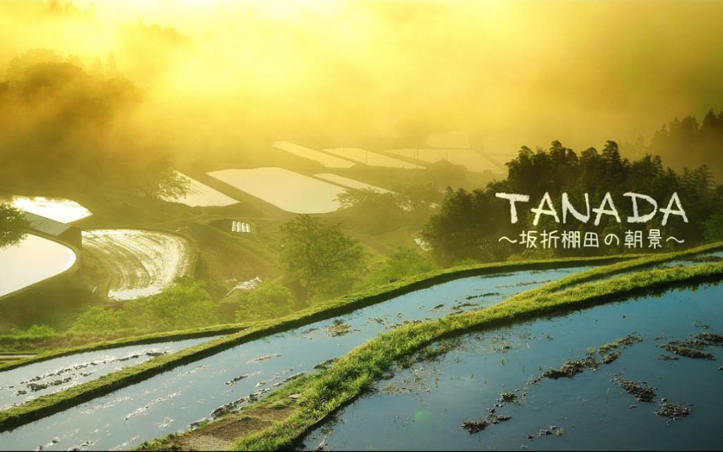 [图]TANADA ～ 坂折棚田 の朝景～