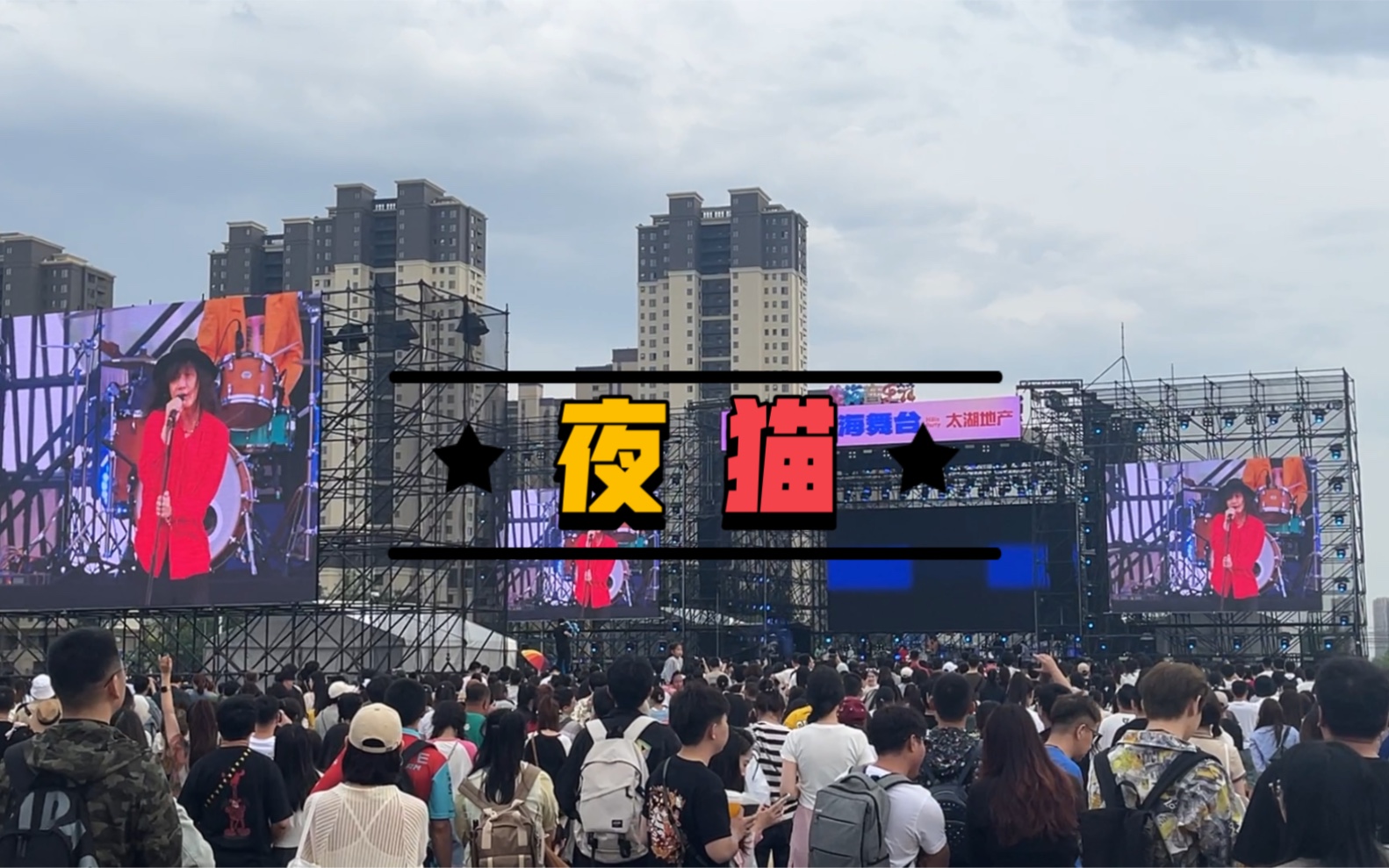 夜猫-马赛克乐队 0610沈阳花海音乐节现场