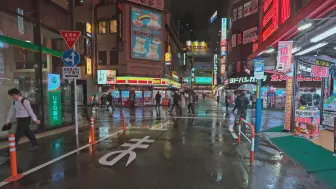 Descargar video: 漫步日本・东京雨夜漫步【4K HDR】