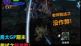 Mhxx 原来gp的有效时间居然有 哔哩哔哩 つロ干杯 Bilibili