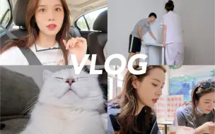 Download Video: WEEKLY VLOG 好朋友来广州玩啦｜装化妆间 ｜超多美食打卡