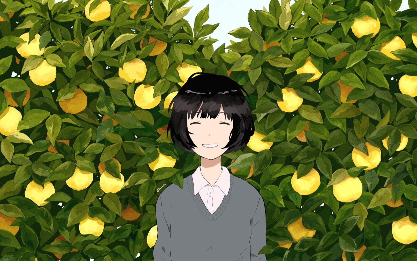 ctbrelaxlemontree120missarank