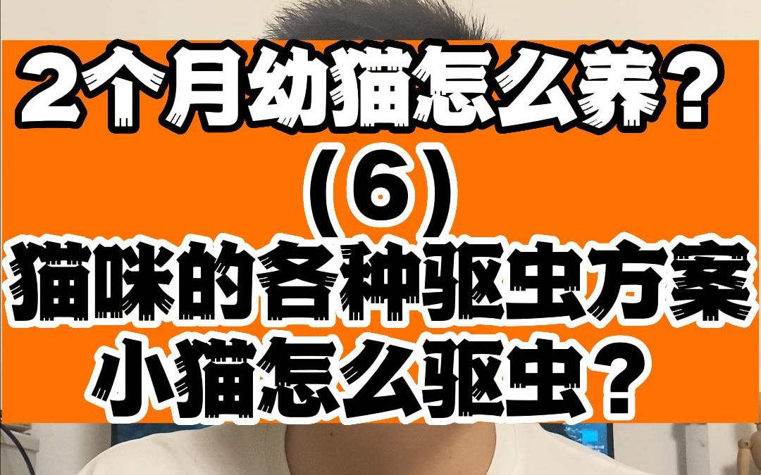 小猫幼猫驱虫怎么做?多久做一次?幼猫驱虫用什么药比较好?哔哩哔哩bilibili