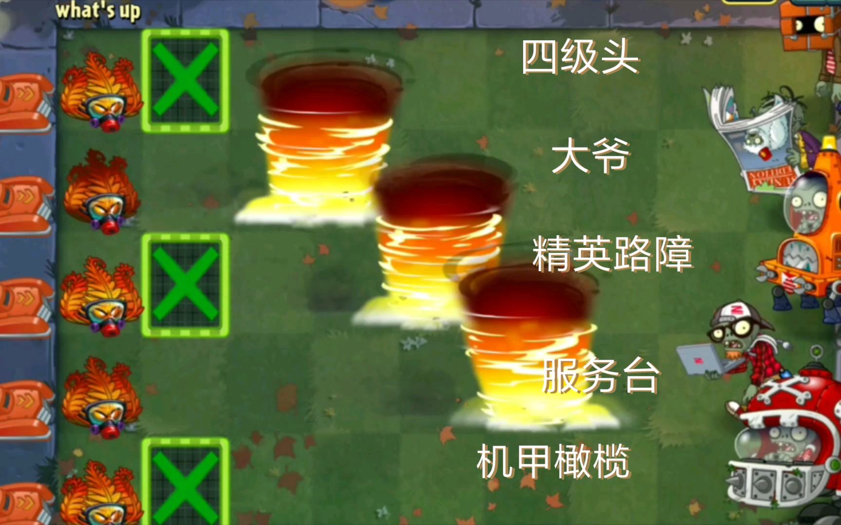 活动  【pvz2】哪一路能击败地狱火蕨?