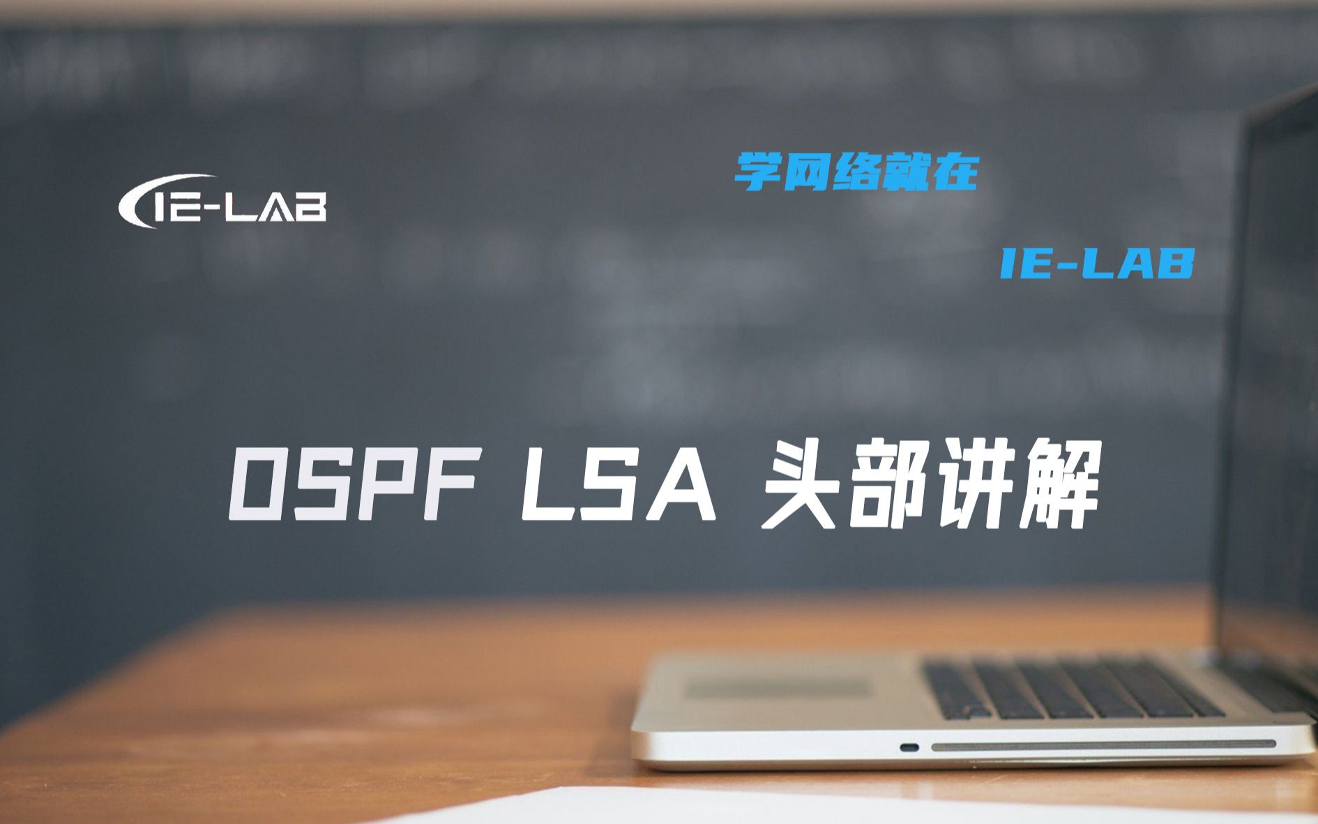 [IELAB]网络路由技术OSPF技术细节LSA头部懂多少,听听涛哥的讲解吧哔哩哔哩bilibili