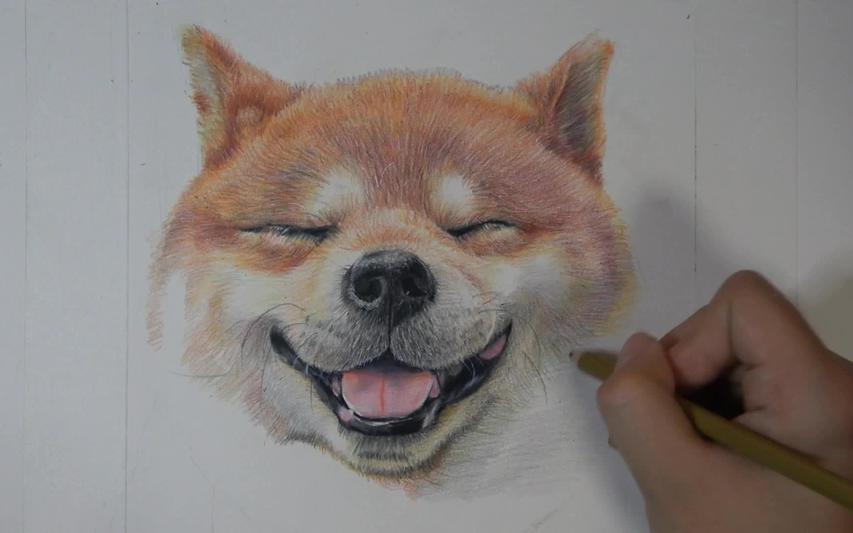 手绘彩铅20.柴犬(自画像)_哔哩哔哩 (゜-゜)つロ 干杯~-bilibili