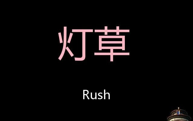 灯草 Chinese Pronunciation Rush哔哩哔哩bilibili