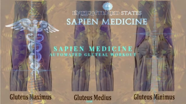 [图]sapien medicine：今天是练臀日