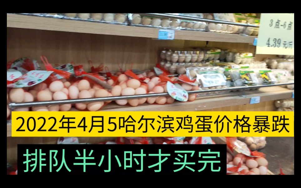 鸡蛋价格暴跌,2022年4月5日哈尔滨鸡蛋价格暴跌,排队半小时才买完哔哩哔哩bilibili