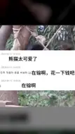 Télécharger la video: 【在镕啊！花一下钱吧！】韩国网友网上在线呼吁三星续约福宝！