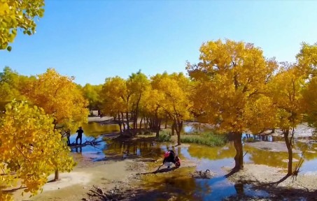 [图]额济纳旗每到秋季，成了到内蒙古观赏胡杨林的标志