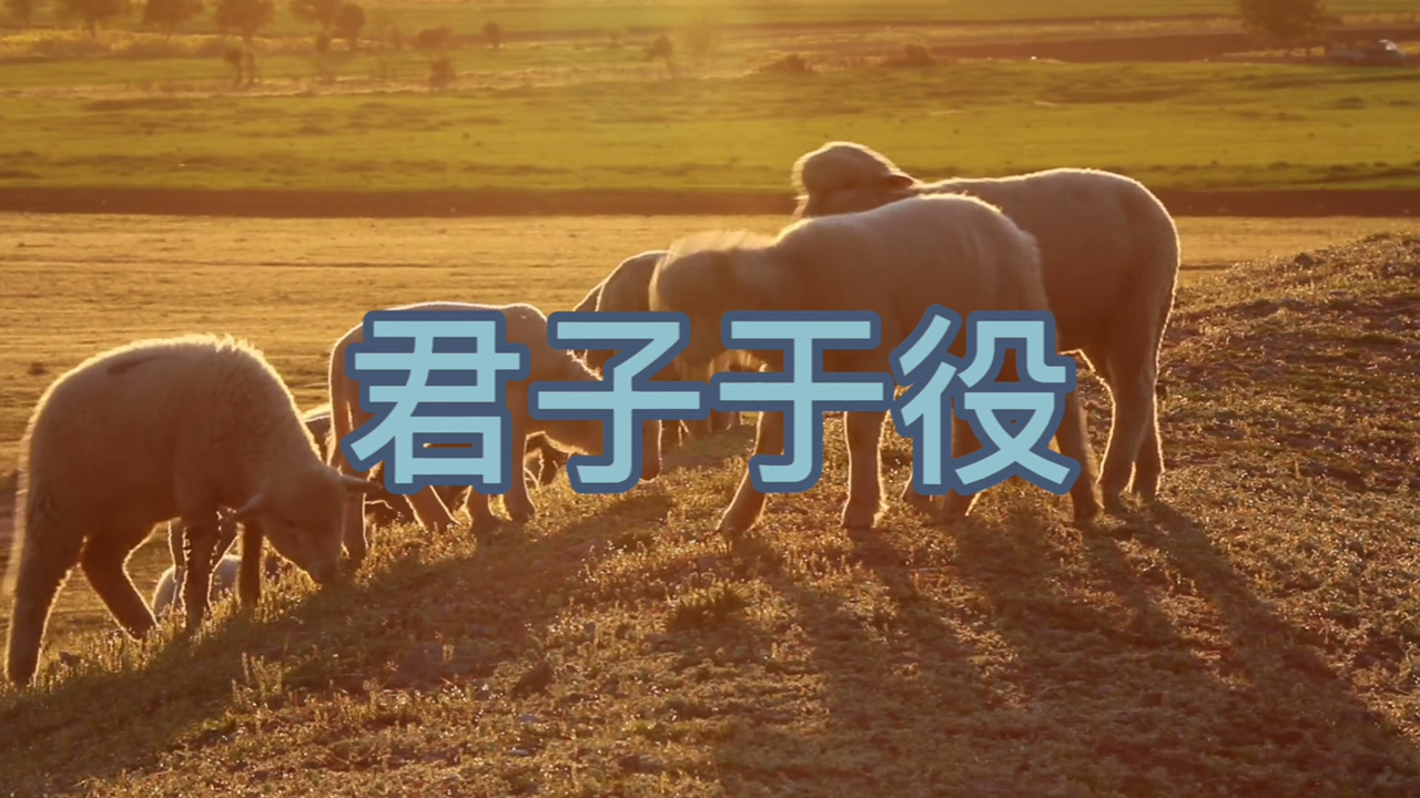 《诗经》·风·君子于役