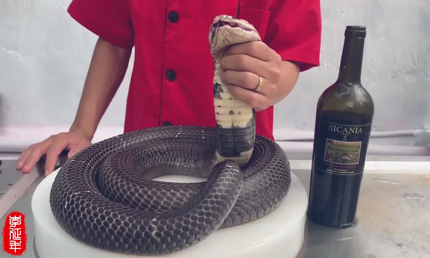 越南人吃黑颈眼镜蛇,居然只吃蛇骨和蛇皮,真开眼了!