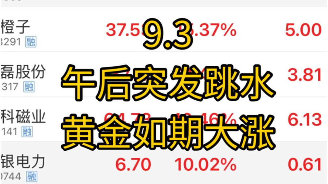 贵金属逆势大涨，难道是9月主线？科技午后跳水，又是突发的小作文？抱团妖股批量跌停，还能玩吗？大面一碗，难道没得做了？