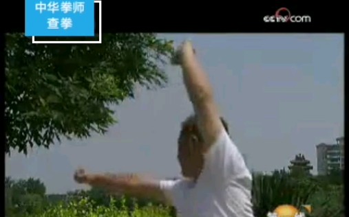 [图]【中华拳师(纪录片)】神秘神功查拳(片中涉及查拳、赵堡太极拳、王堡枪、七式拳)