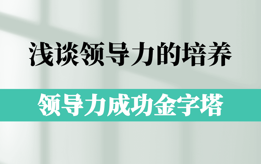 浅谈领导力的培养,领导力成功金字塔,项目经理的度量和框架哔哩哔哩bilibili