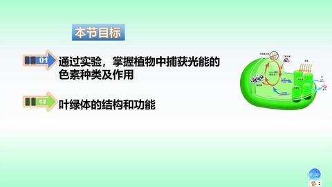 高中生物必修一 第五章细胞的新陈代谢 哔哩哔哩 Bilibili