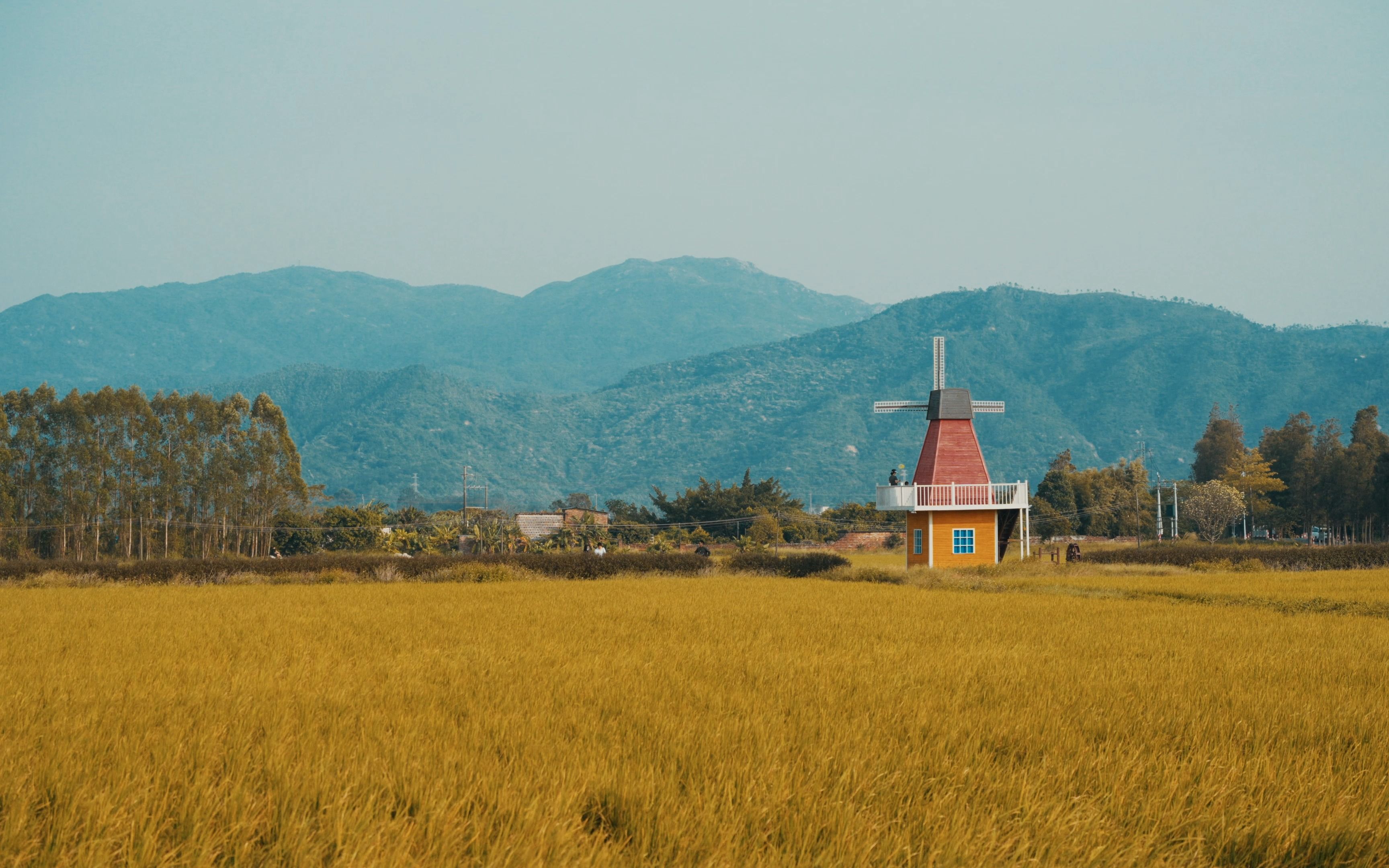 a7m4 珠海上洲村4k